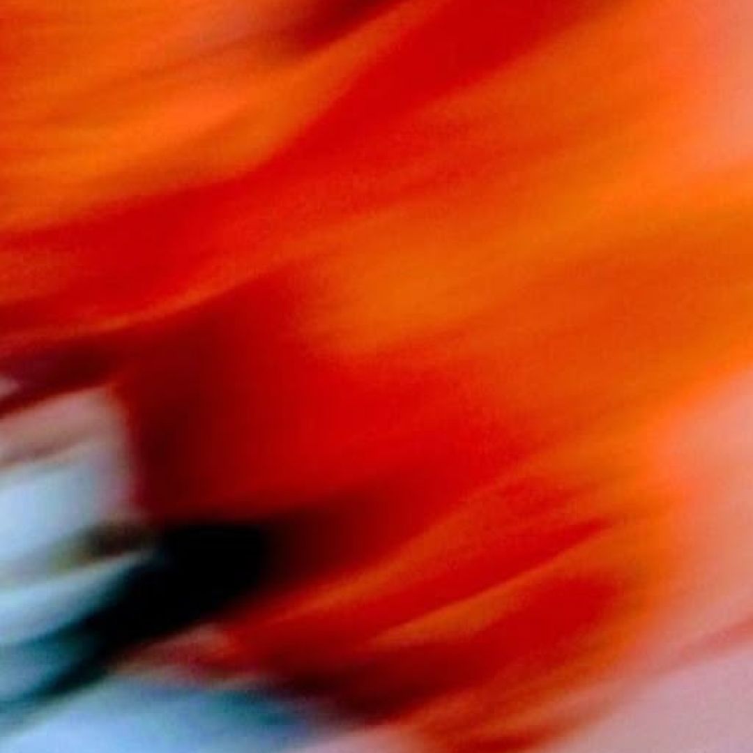 The Neuroscience of Color: Why Red Calms and Yellow Sharpens