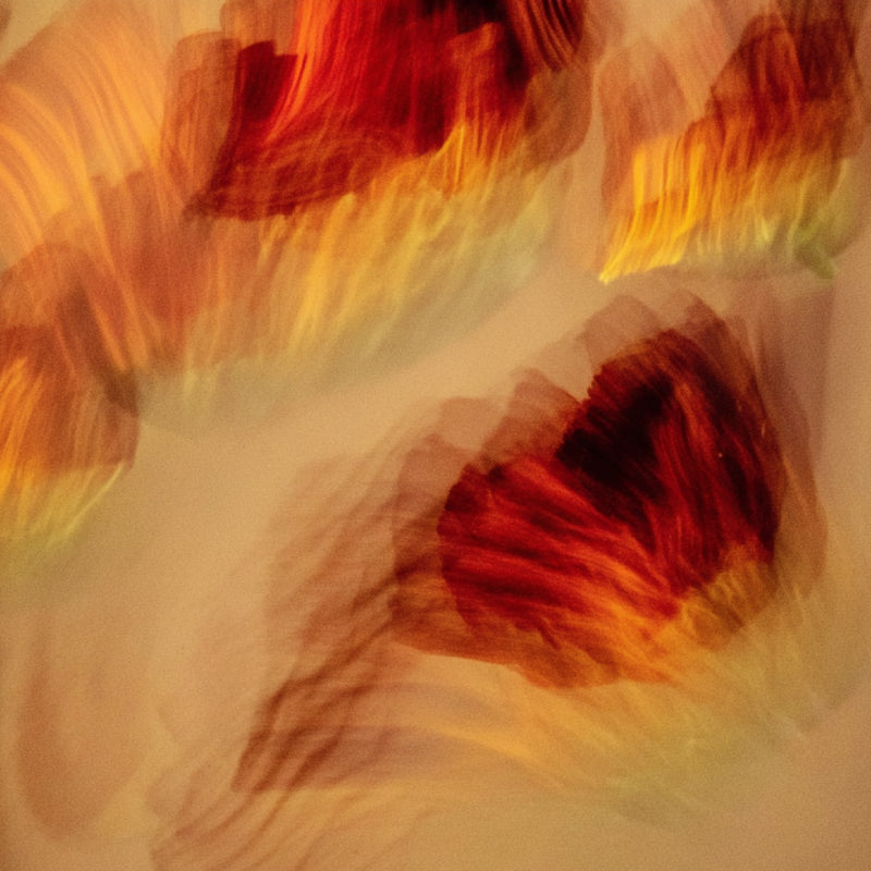 Vision Image 4